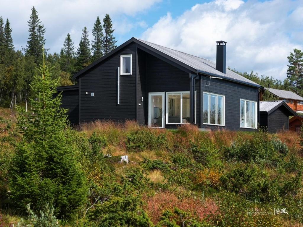 MyroSkarvebo - cabin with amazing view的山顶上的黑色房子