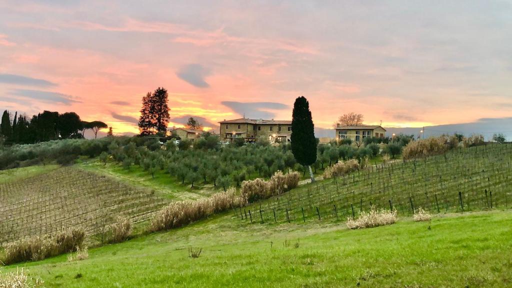 波吉邦西Laura Chianti Vacanze的山丘上一座带房子的葡萄园,享有日落美景