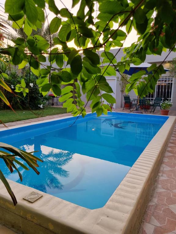 吉达Valley Villa的拥有蓝色的海水和绿色树木的游泳池