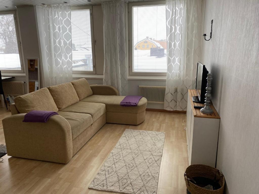 科科拉Apartment Isokatu的带沙发和电视的客厅
