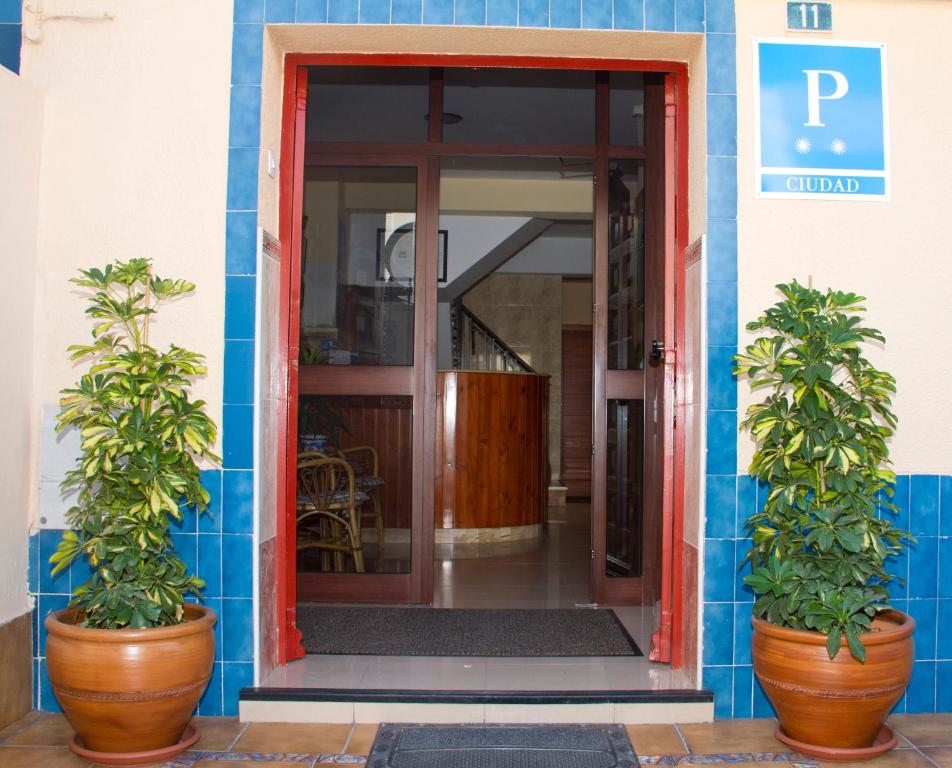 圣玛丽亚港Pensión La Palma的两个盆栽植物坐在门前