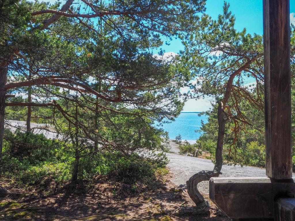 库斯塔维Spauna的从海滩上一棵树上欣赏海景