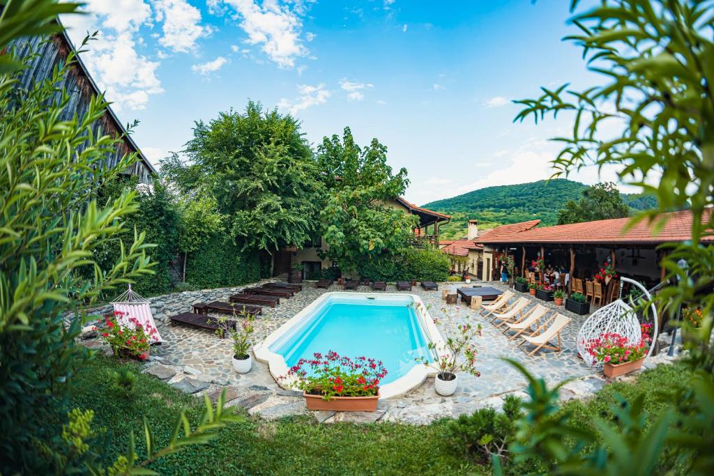 Pianu de SusCasa Dives - Transylvania的庭院内的游泳池,带椅子和鲜花