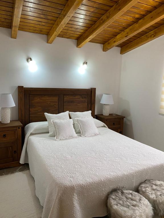 圣米格尔德阿沃纳Finca La Luz的一间卧室配有一张带两盏灯的大型白色床。