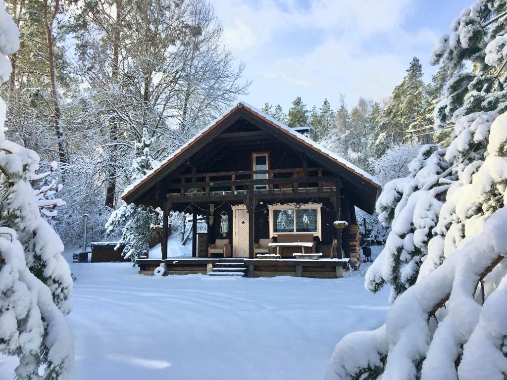 RudniaNamelis Rudnios kaime “Nykštukas”的雪地里的小木屋,有雪覆盖的树木