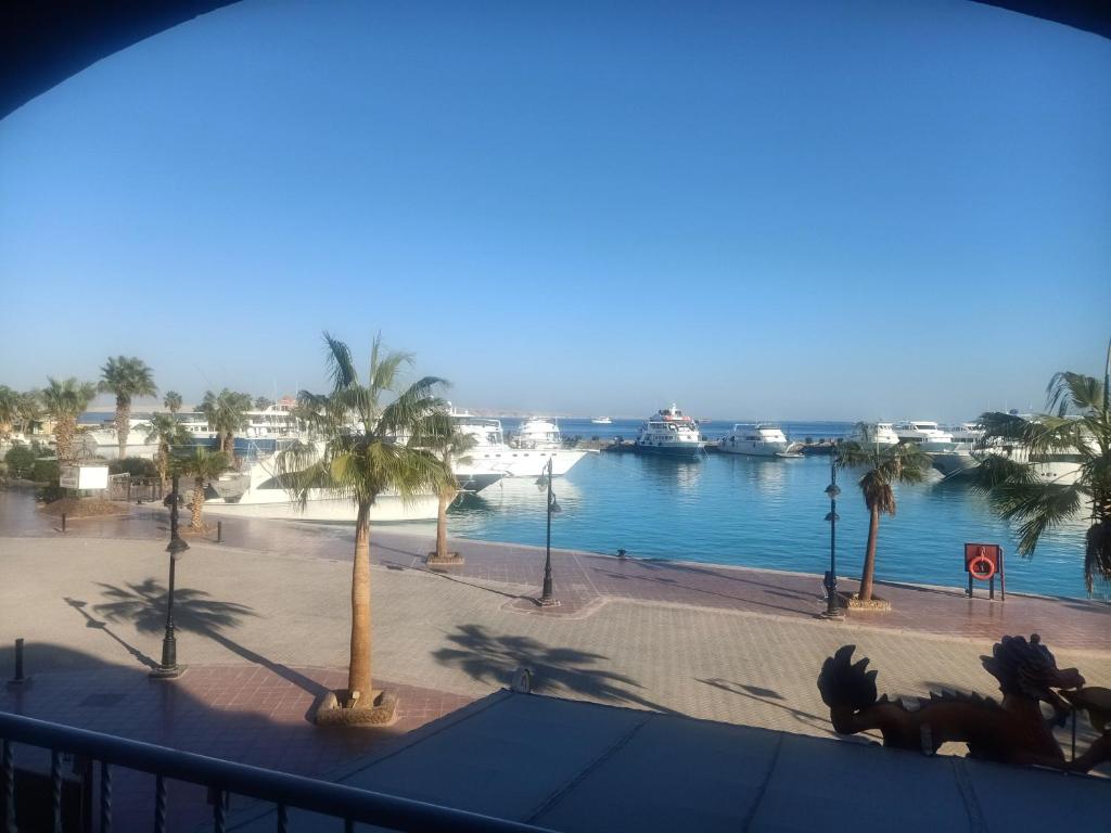 赫尔格达Marena Hurghada的棕榈树和船只的水域景色