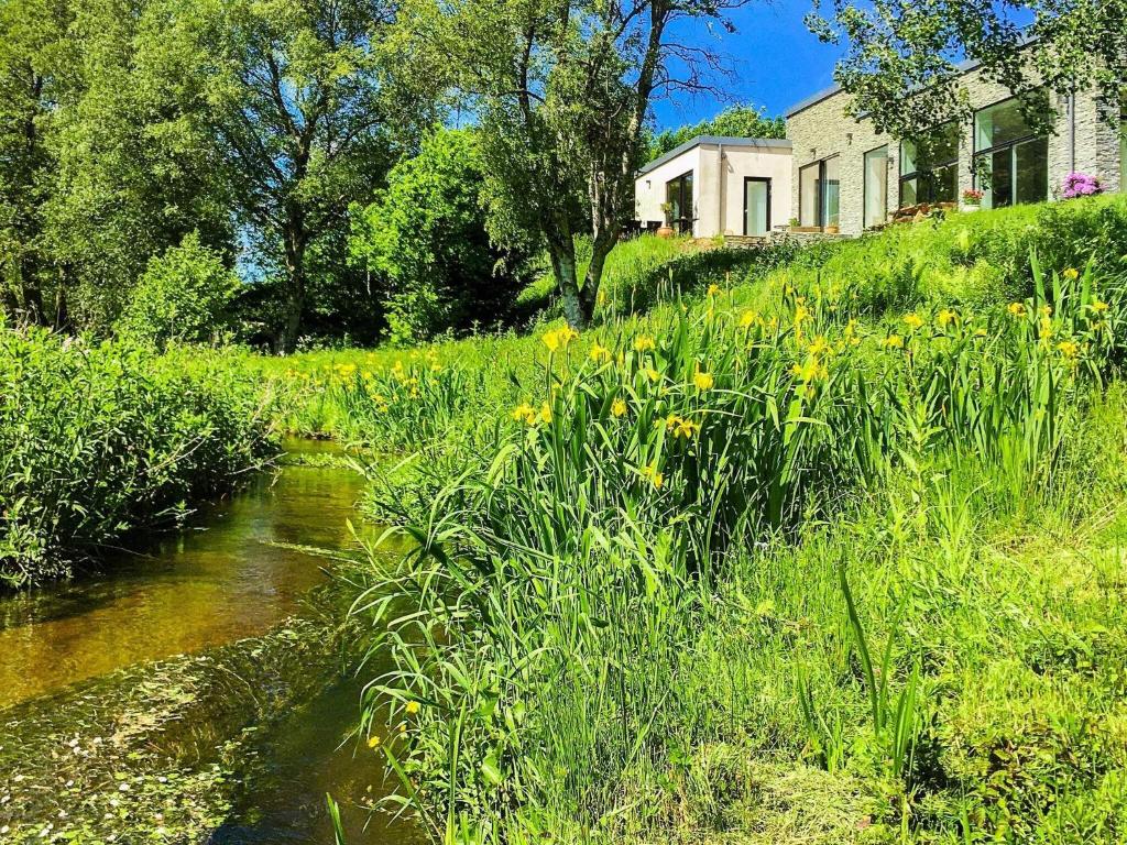 霍尔斯特布罗Holiday home Holstebro II的田野里的小溪,有房子和鲜花