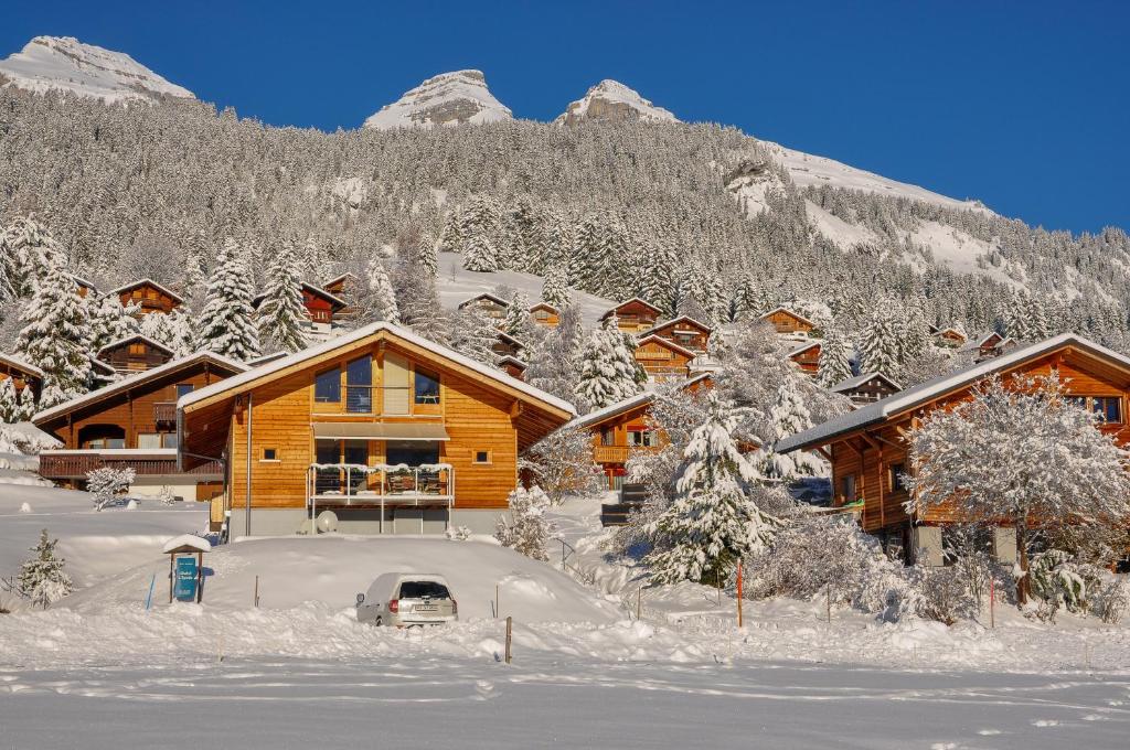 莱森莱佩塞住宿加早餐酒店的雪中小木屋,背景是群山