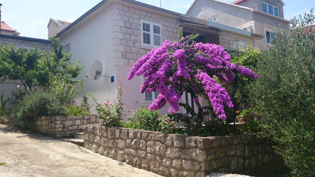 科尔丘拉Apartments Laura的一座房子前面石墙中的紫色植物
