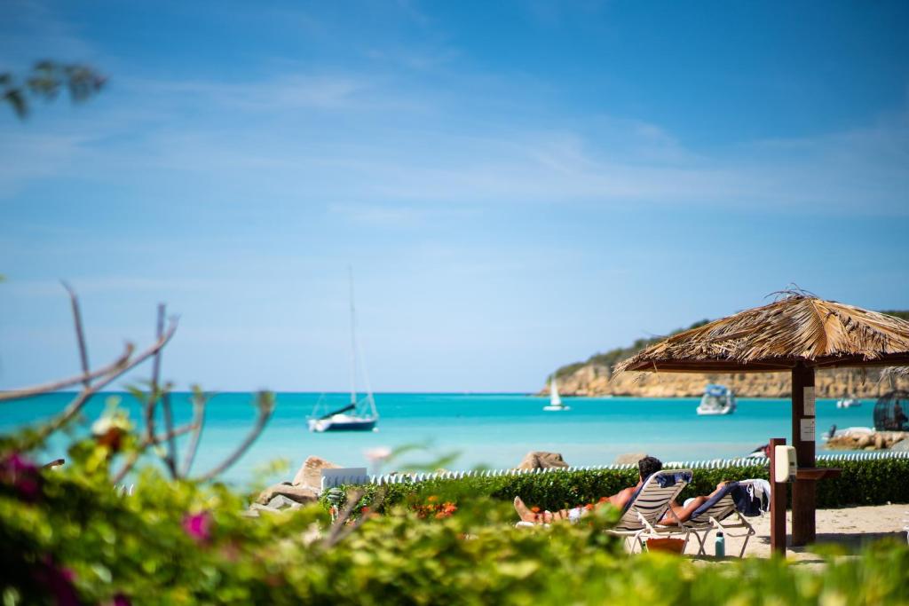 圣约翰斯Antigua Village Beach Resort的海滩上设有椅子和遮阳伞,大海