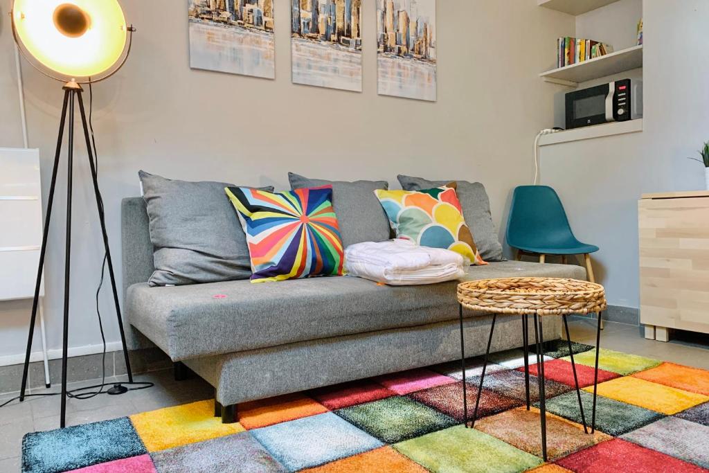 格勒诺布尔Le Colorful T2 City center near tram A #C5的客厅配有灰色的沙发和色彩缤纷的地毯。