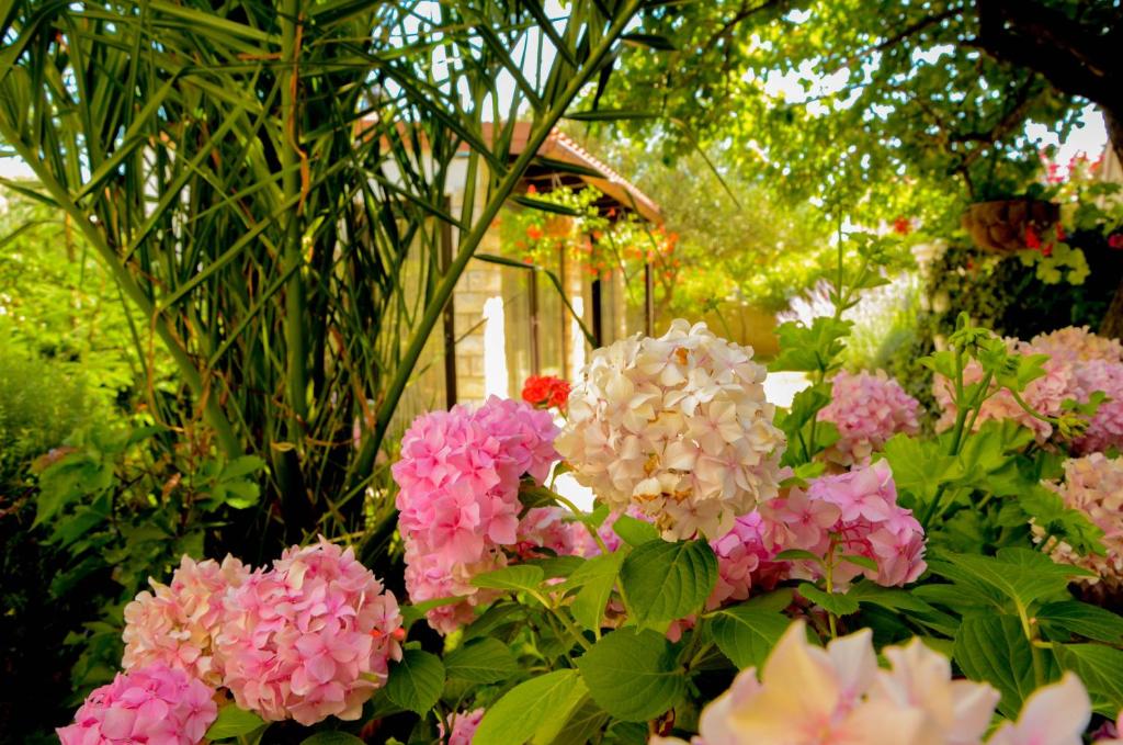 沃迪切Gulin Apartments的花园里的一束粉红色和白色的花