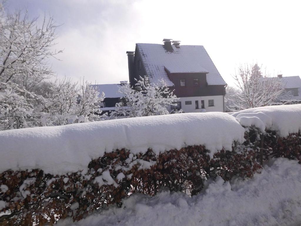 温特贝格Apartment in Langewiese near Winterberg的一座有雪盖的院子,后面有一座房子