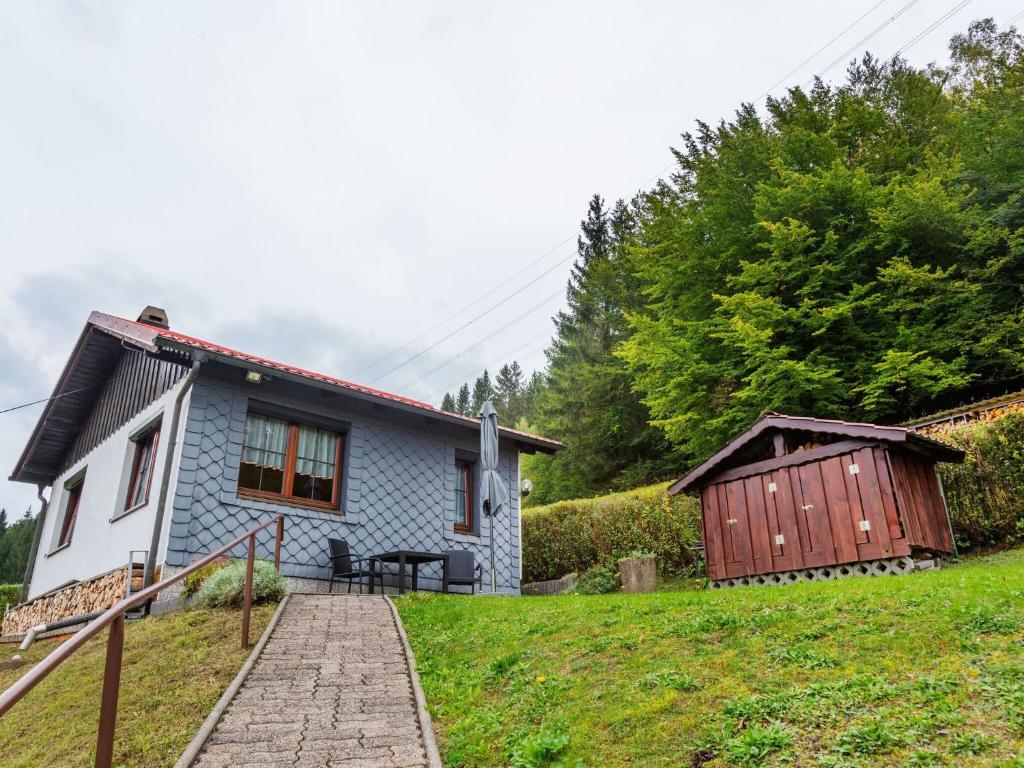 LangenbachHoliday home in Thuringia near the lake的一间蓝色的小房子,旁边设有木制棚子
