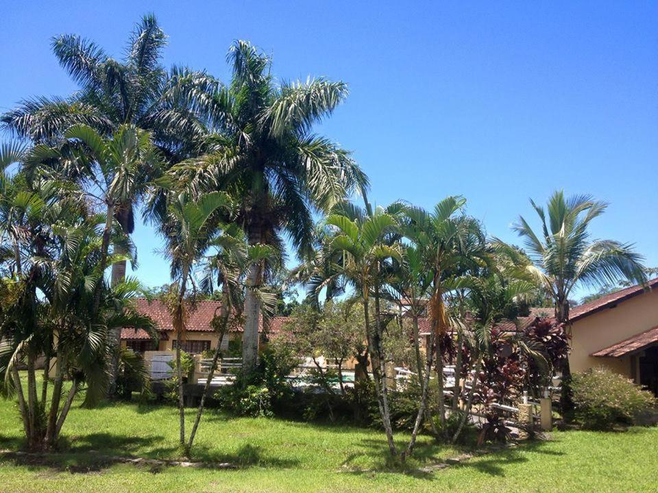 坎布里Camburi Chalés的一群棕榈树在房子前面