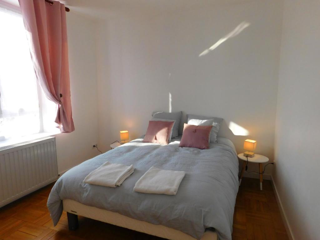 圣艾尼昂Appartement situé en centre ville de Saint Aignan的一间卧室配有一张大床和两条毛巾