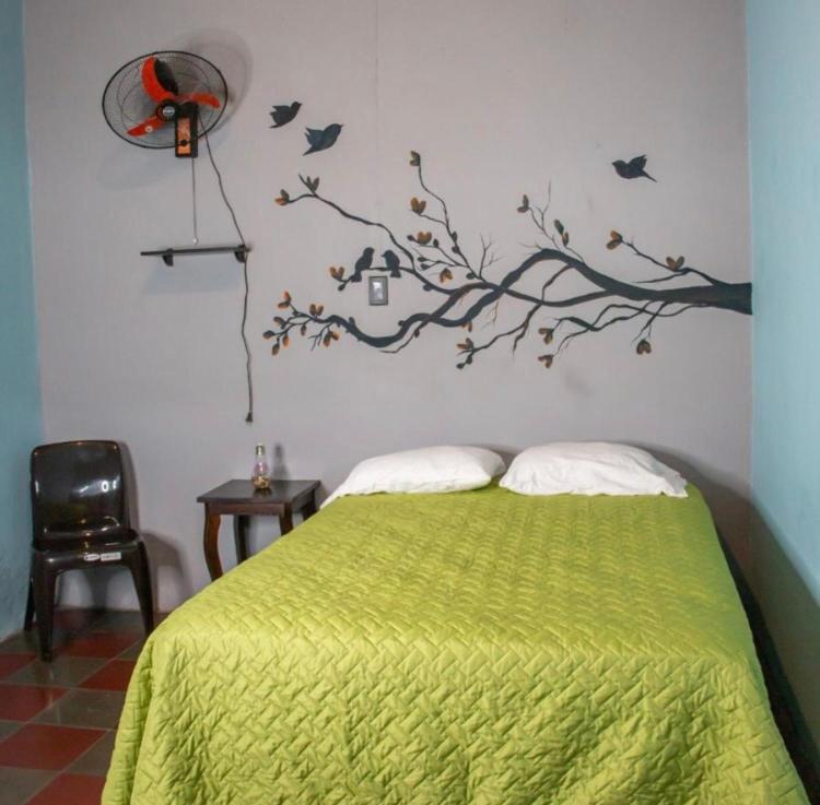 圣安娜Hostal Casa Luna的卧室配有一张绿色的床,墙上有鸟儿