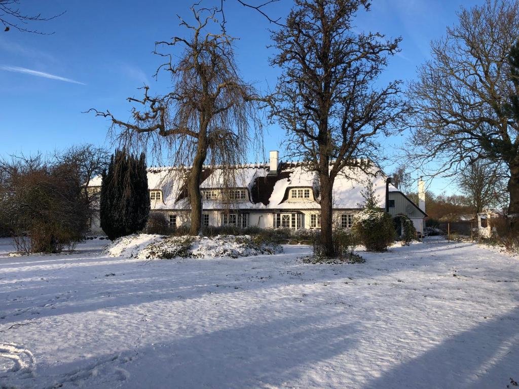 埃贝尔托夫特Rane Ladegaard的雪中大白房子,有树