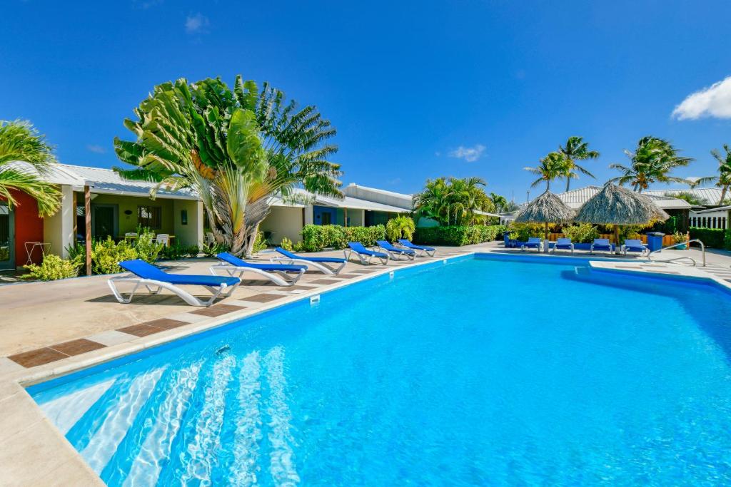 棕榈滩阿鲁巴蓝村公寓酒店的一个带蓝色椅子的游泳池,棕榈树