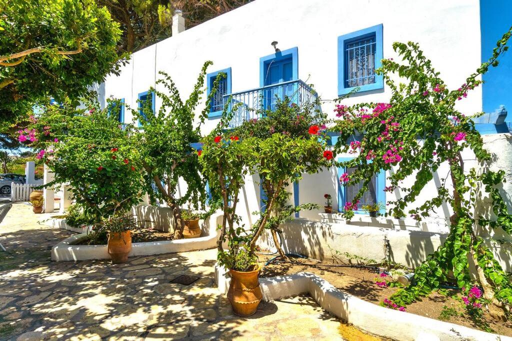 阿林达Pleiades Alinda Bay Leros的前面有盆栽植物的白色建筑