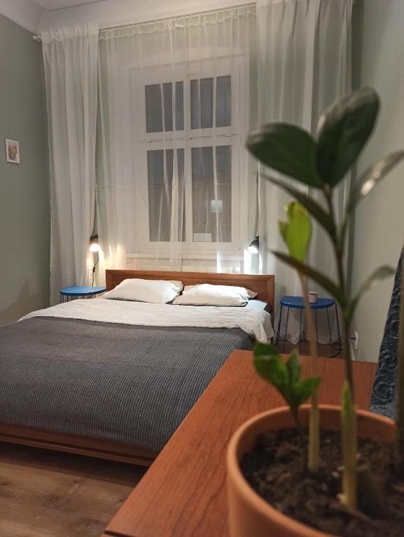 莱格尼察Apartament ROZETA centrum 6os的一间卧室配有一张床和盆栽植物