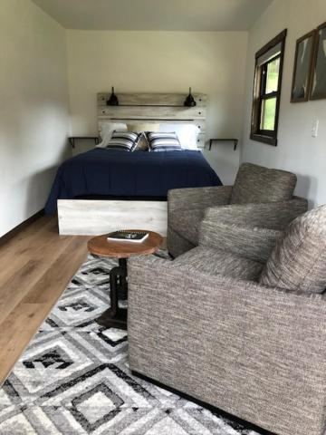 拉皮德城Cabin 3 at Horse Creek Resort的一间卧室配有一张床、两张沙发和一张沙发。