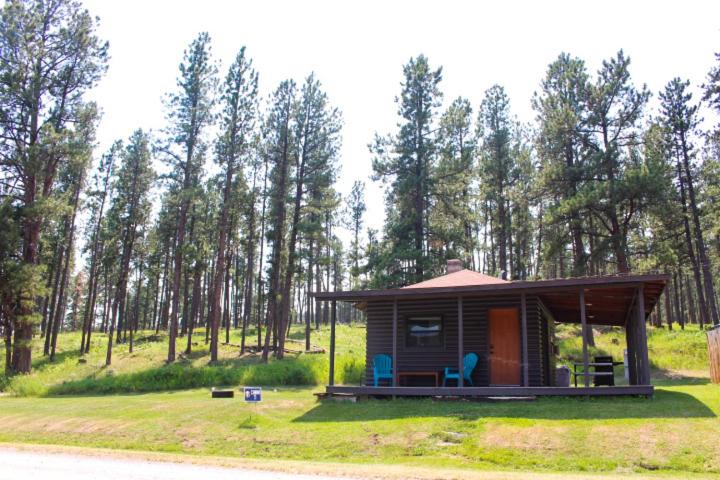 拉皮德城Cabin 5 at Horse Creek Resort的小屋,带两把蓝色椅子,位于田野