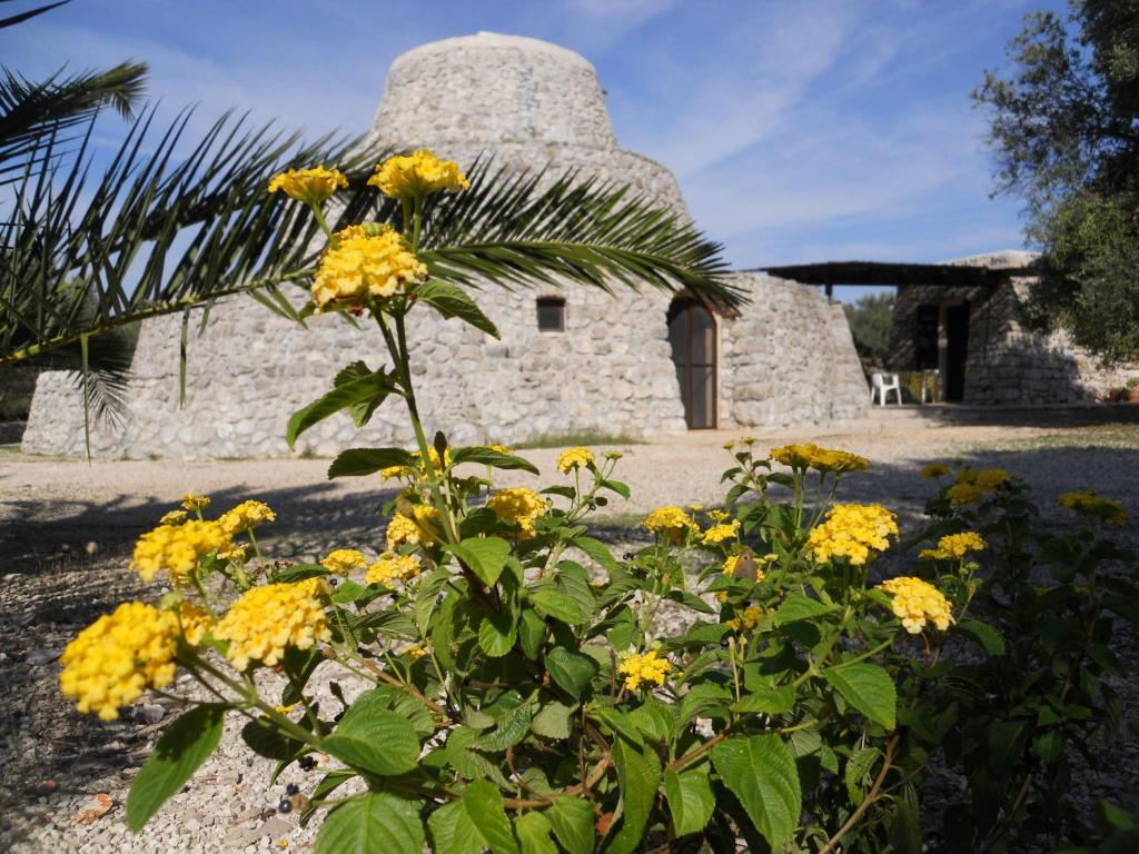 莫尔恰诺迪莱乌卡Agriturismo Specchiarussa的石头建筑前方种有黄色花朵的植物