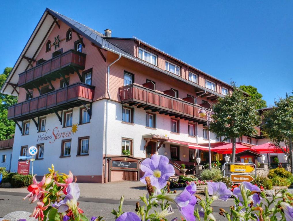 施卢赫湖Wochner's Hotel-Sternen Am Schluchsee Hochschwarzwald的一座大建筑前面有鲜花