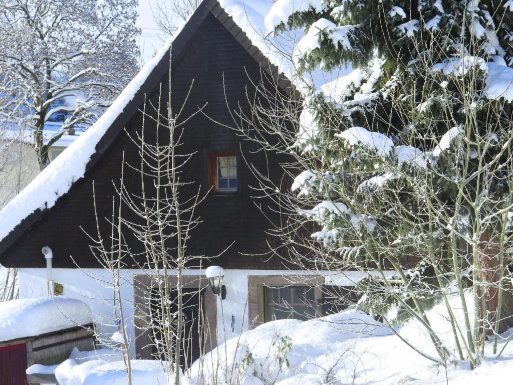 黑林山区圣格奥尔根Holiday home with terrace in the Black Forest的一座房子,前面有树木,被雪覆盖着