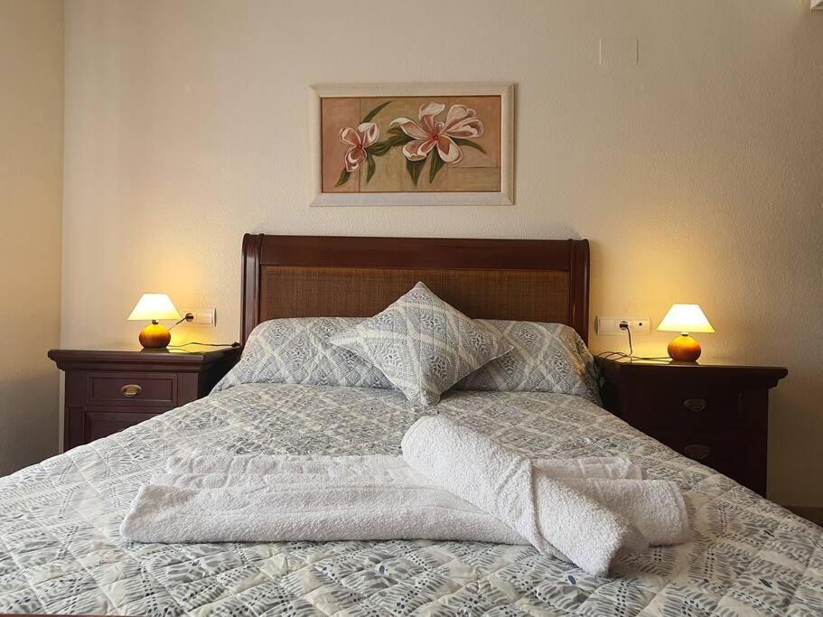 科尔多瓦Apartamento Ribera Real II的一张带白色被子和两盏灯的床