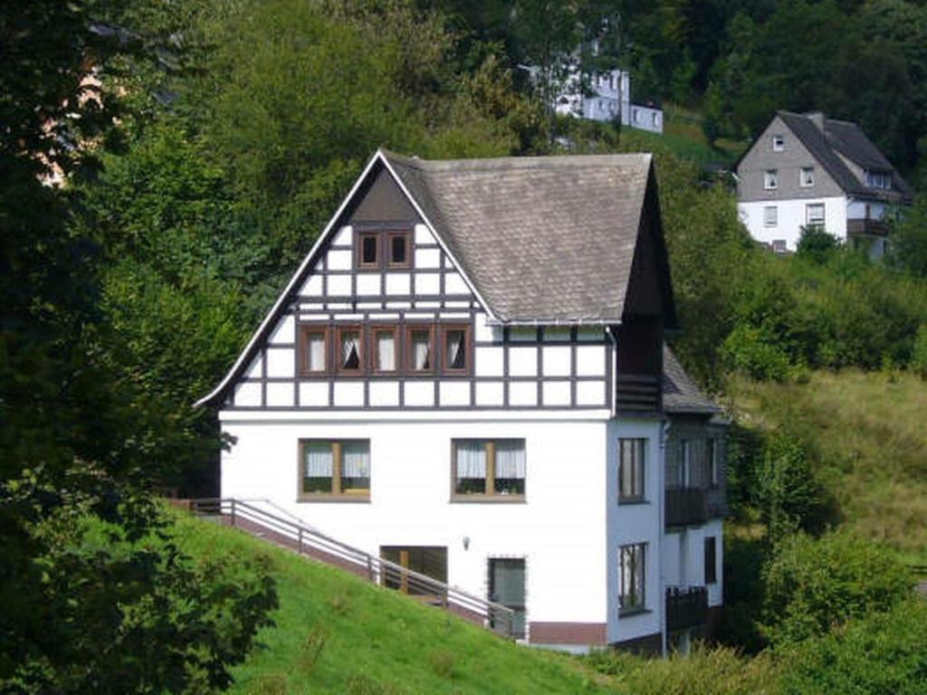 施马伦贝格Spacious holiday home with private terrace的山边的白色房子
