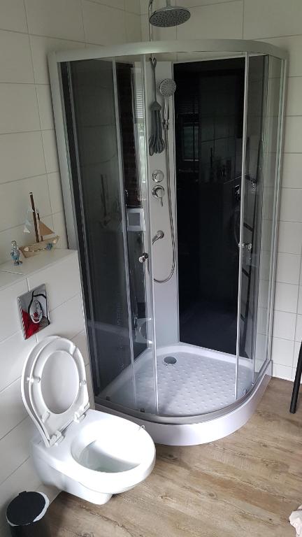 Vlagtwedde'T Wolthoes的带淋浴和卫生间的浴室