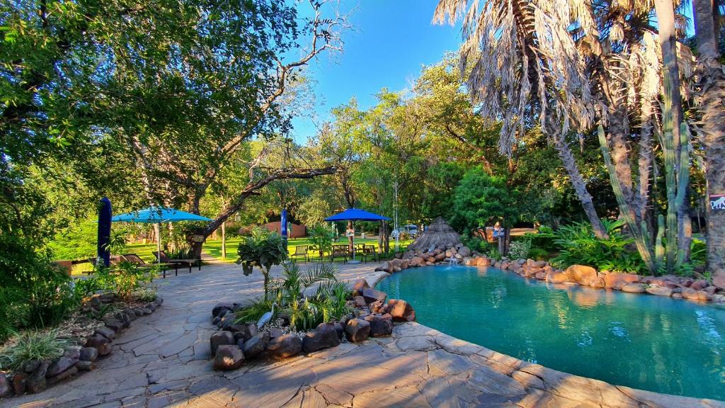利文斯顿马兰巴河山林小屋的公园内的游泳池,有树木和蓝伞