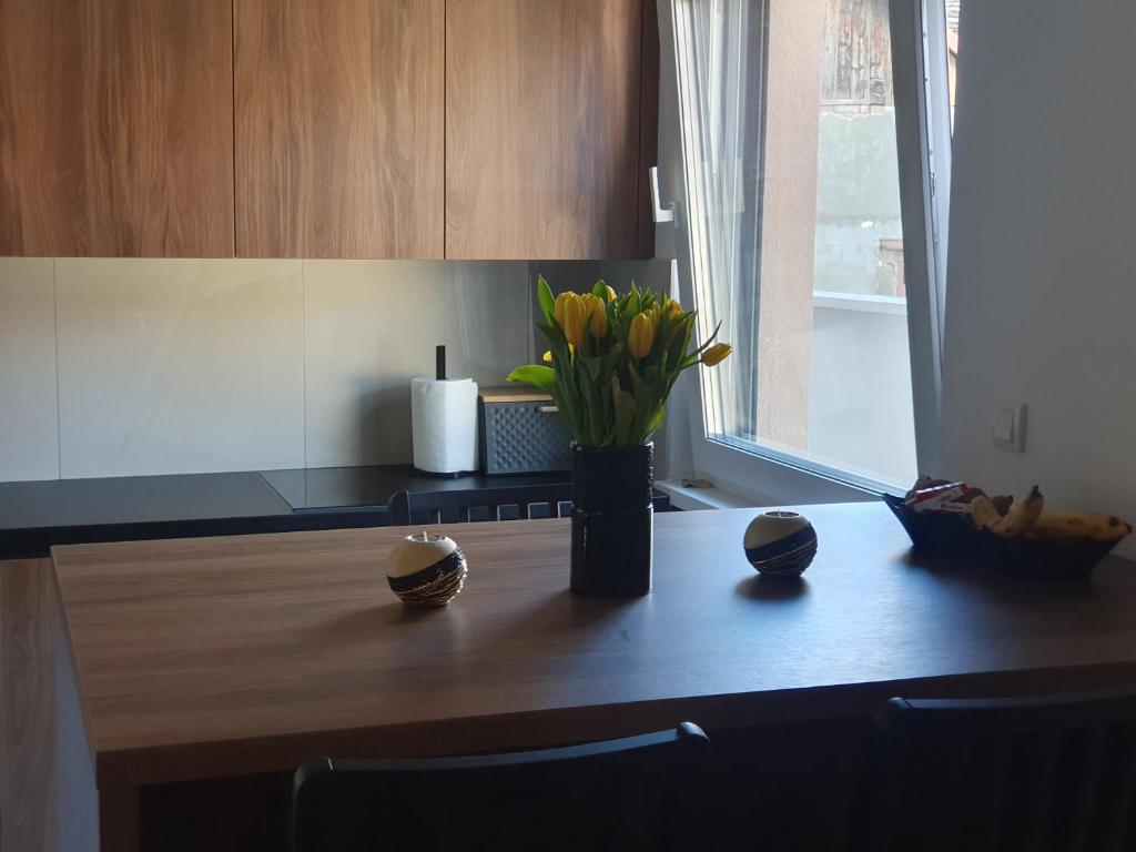 斯雷姆斯卡米特罗维察Proximus的厨房柜台,桌子上放着花瓶