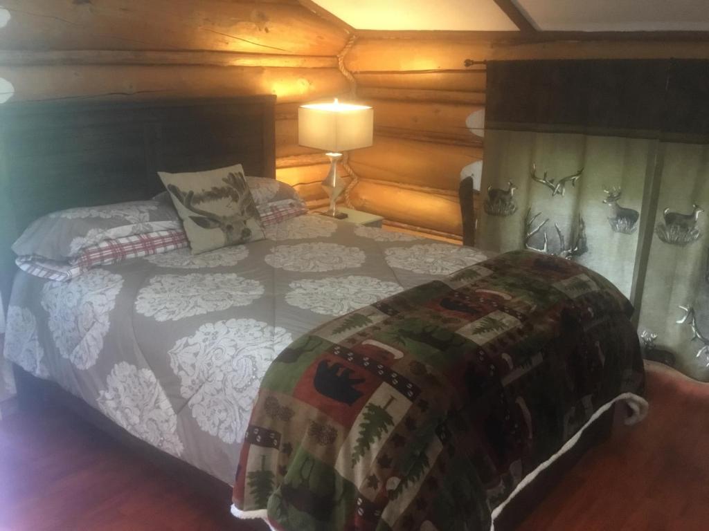 Tetsa RiverTetsa River Lodge的一间卧室,卧室内配有一张大床