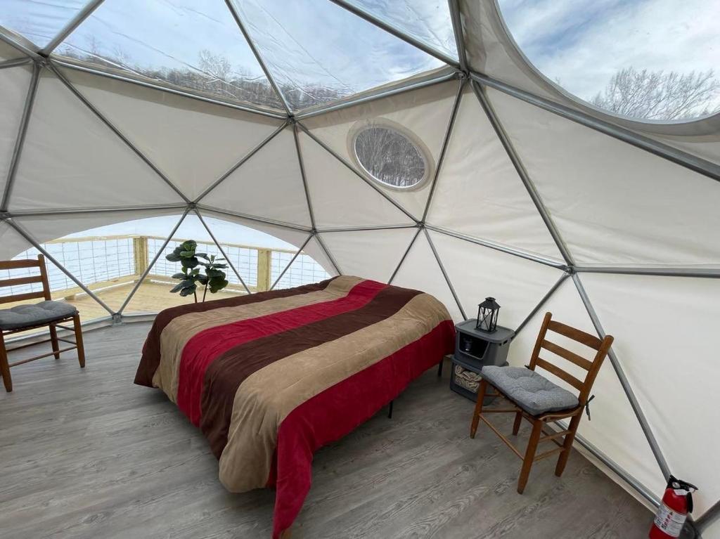 DryforkLaurel River Club Bed & Breakfast or LRCBNB的蒙古包内一间卧室,配有一张床和两把椅子