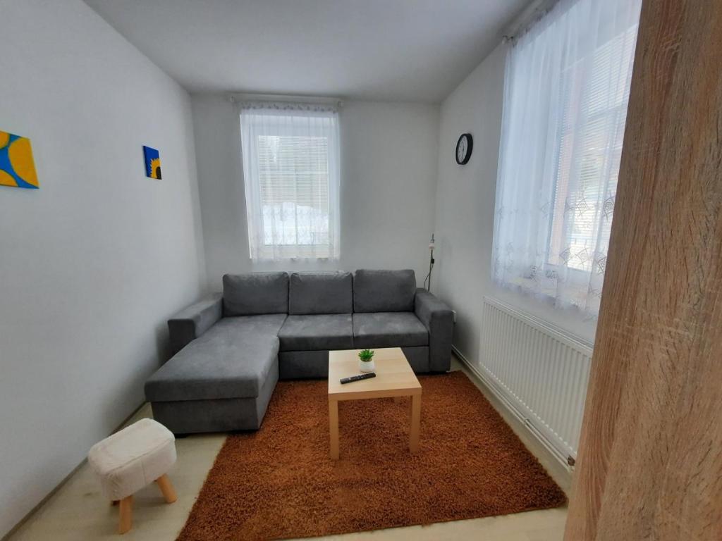 科热诺夫apartmán Kořen se saunou , Kořenov Jizerské hory的客厅配有灰色的沙发和桌子