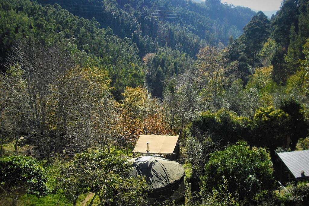 佩内拉Green Man yurt的山谷中树木繁茂的房子