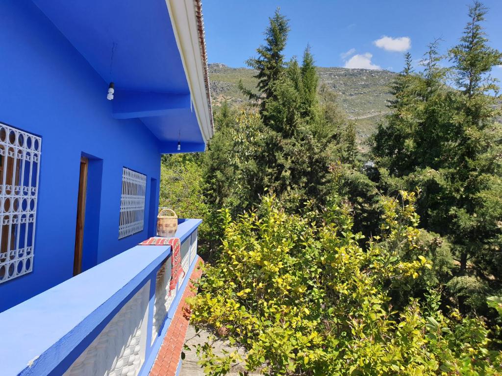舍夫沙万Gite Talassemtane的蓝色的房子,屋顶蓝色,树木蓝色