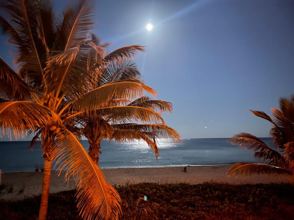 帕诺滩Studio BTS - Lauderdale-By-The-Sea的享有棕榈树海滩和大海的景色