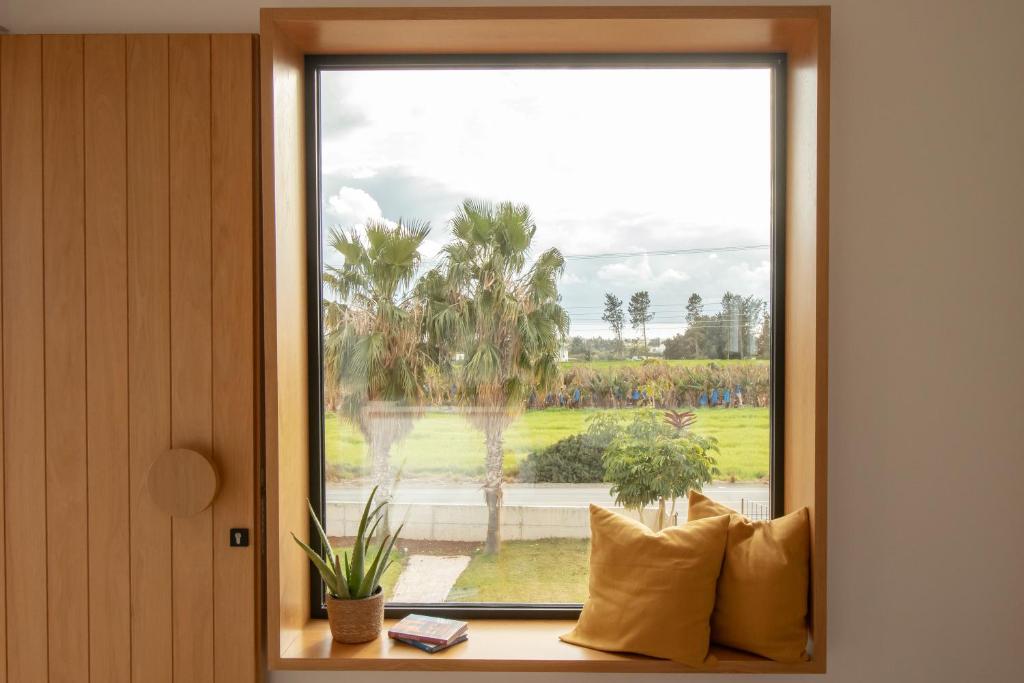 佩亚mhouse44的享有棕榈树景致的窗户