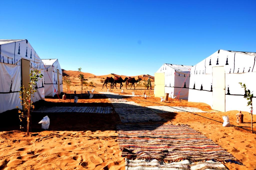梅尔祖卡Tuareg Luxury Camp的沙漠中一群马匹的建筑
