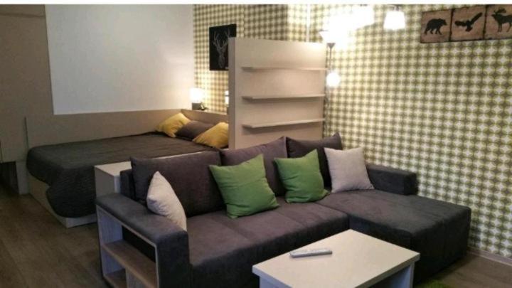 锡纳亚Apartament Aosta Central Sinaia的客厅配有沙发和1张床