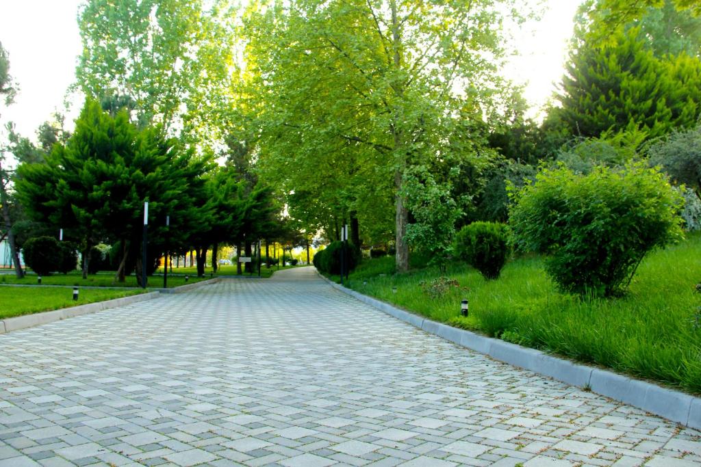 舍基Sheki Olimp Villa的公园里一条鹅卵石路,有树木和草地