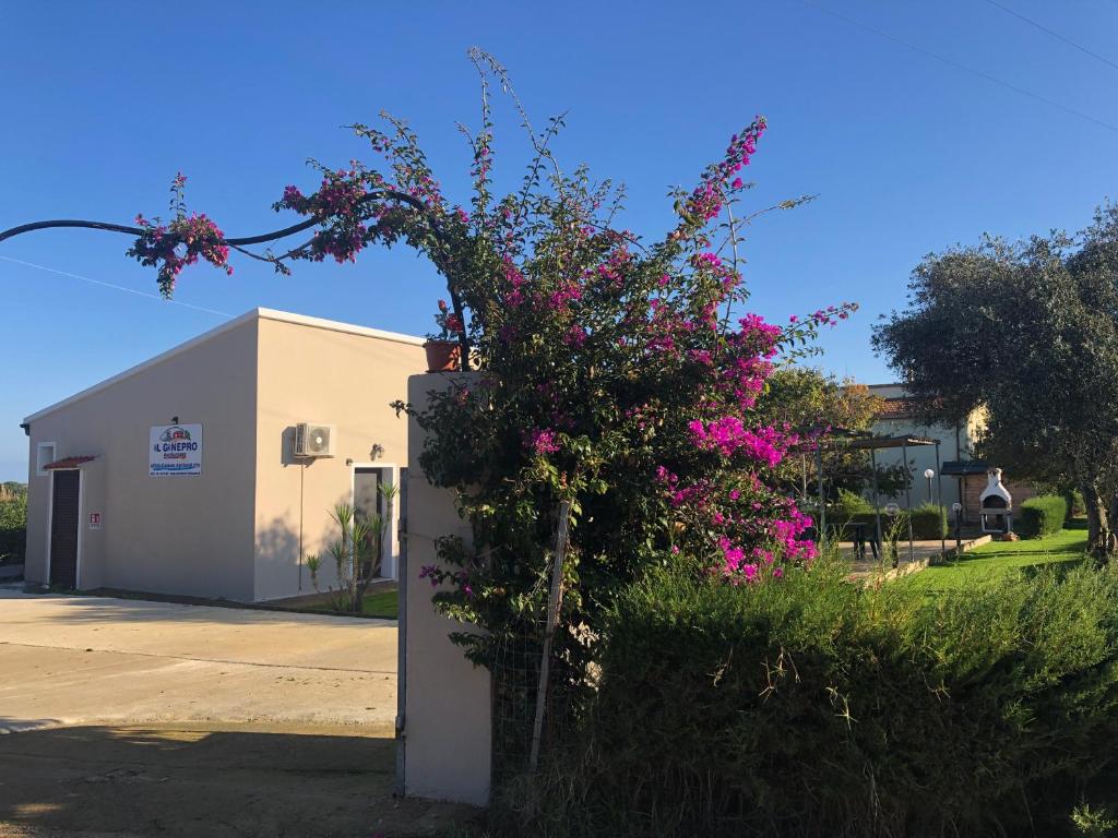 瓦雷多利亚Il Ginepro的一座建筑物旁的灌木丛,花粉红