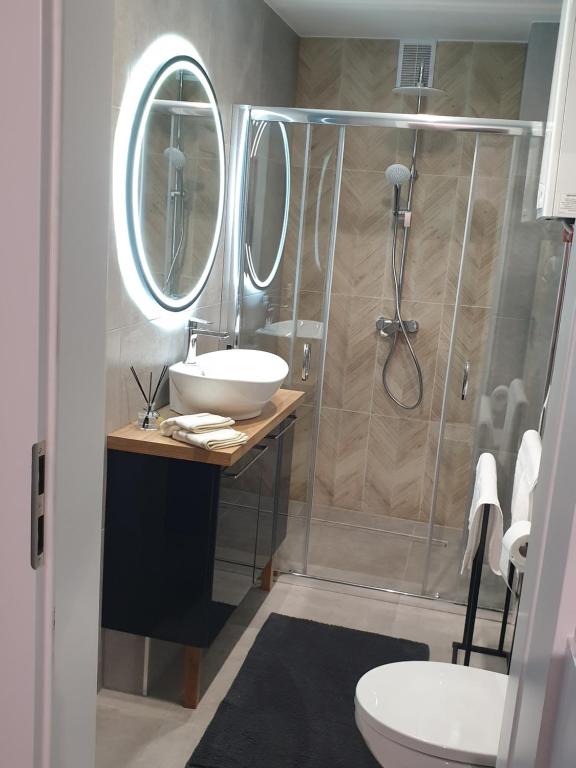 奥普尔Modern Apartment的一间带水槽和淋浴的浴室