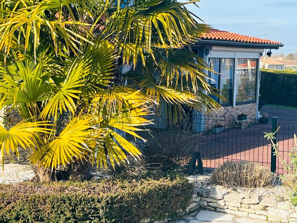 MarillacLa Ligonne的前面有棕榈树的房子