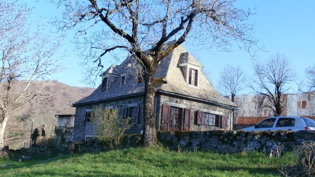 拉塞勒Maison de 3 chambres avec terrasse a Lascelle的院子里有树的老房子