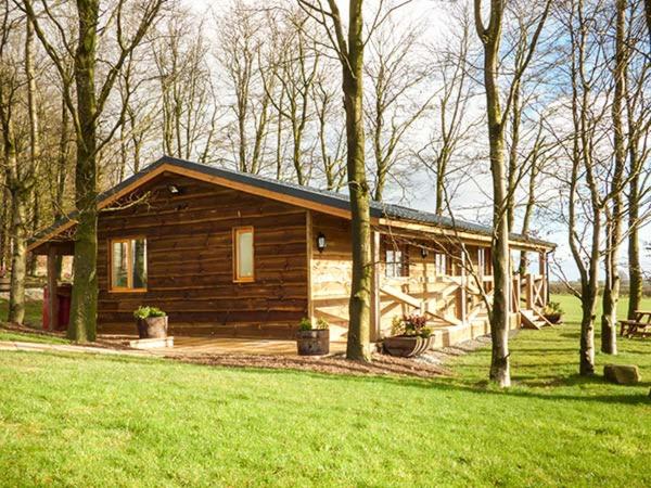 TrelystanValley View Lodge的田野中间的小木屋